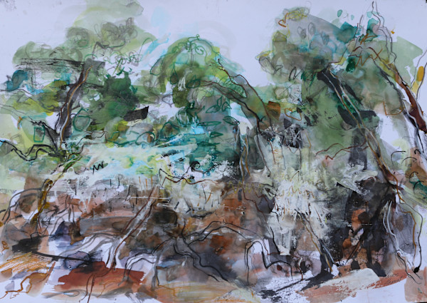 A Tangle of Mangroves by Lyn Laver-Ahmat