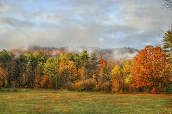 Golden Light by Joan Lentini, Image 1.