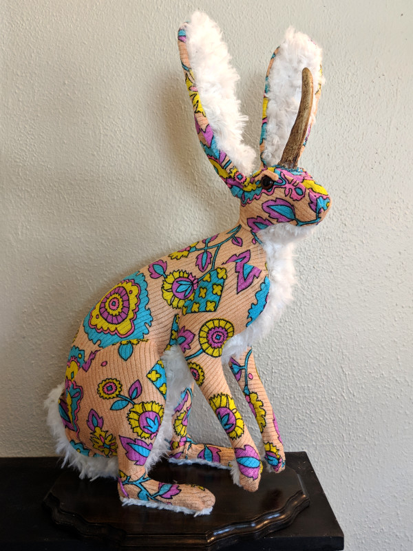Full Mount Jackalope by Caitlin Fitzgerald
