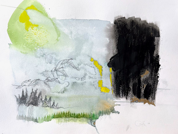 collaboratively vanished by Anja Studer