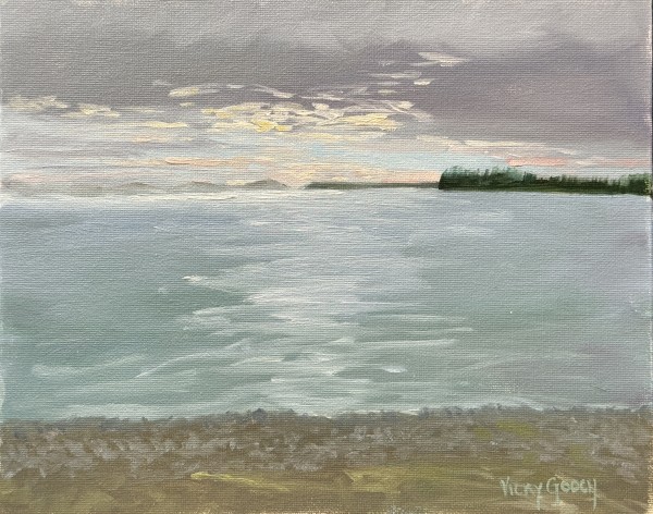 Birch Bay Sunset by Vicky Gooch