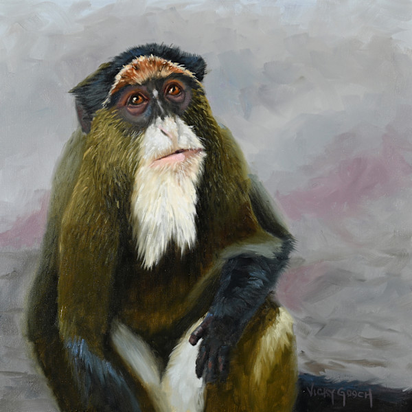 De Brazza's Monkey by Vicky Gooch
