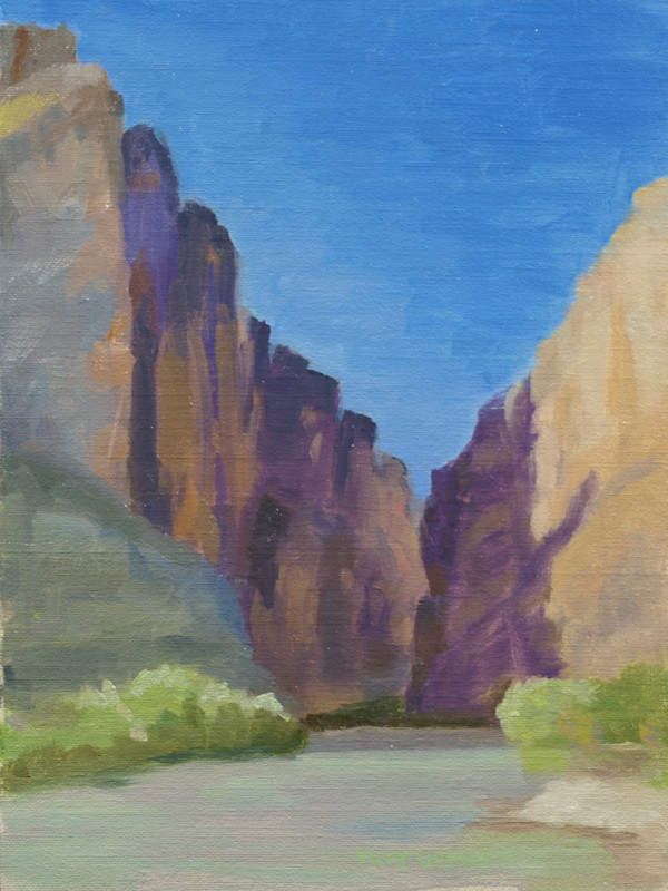Santa Elena Canyon by Vicky Gooch