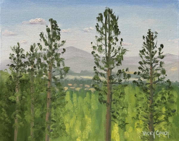 Spokane by Vicky Gooch