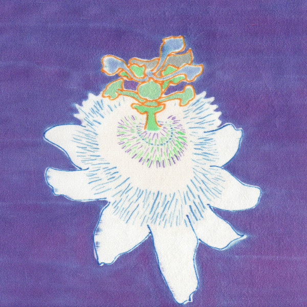 La passiflore - Passion Flower - Passiflora incarnata