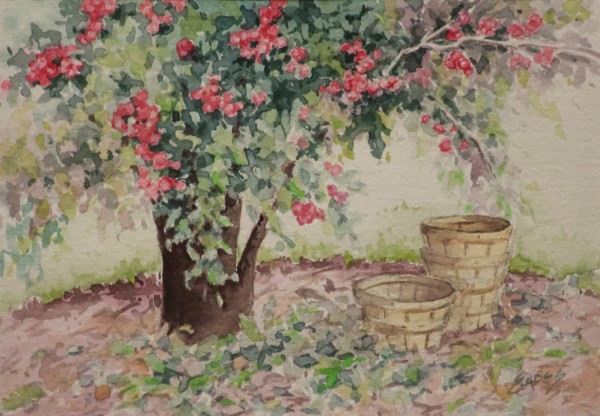 Apple Orchard by Linda Eades Blackburn