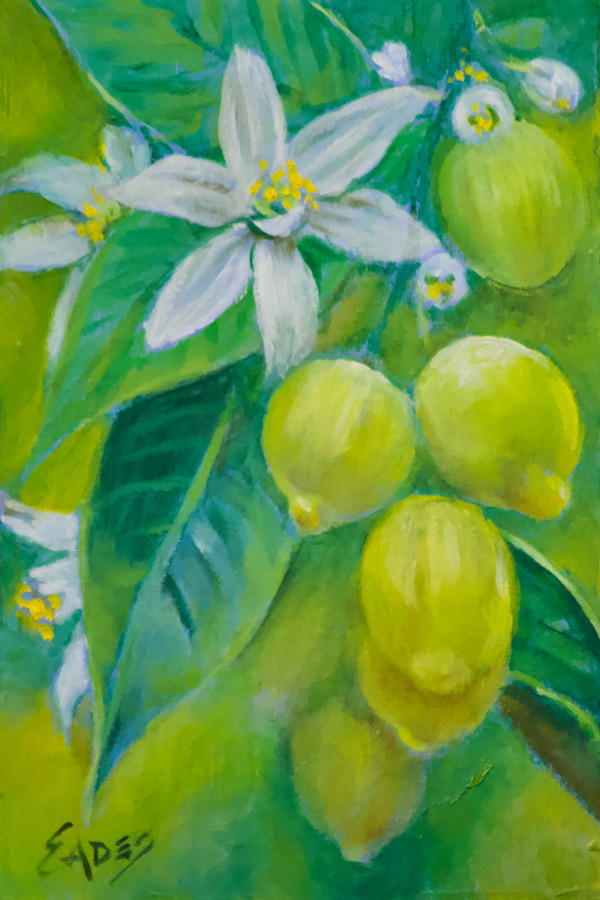 Beginings (Lemons) by Linda Eades Blackburn, Image 1.