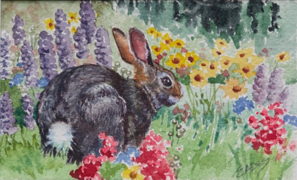 Cottontail and Wildflowers by Linda Eades Blackburn