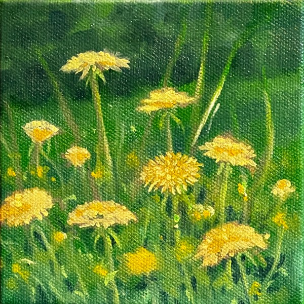 Dandelion Meadow by Linda Eades Blackburn