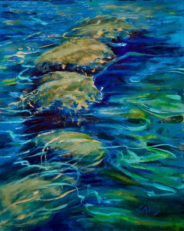 Rocky River by Linda Eades Blackburn