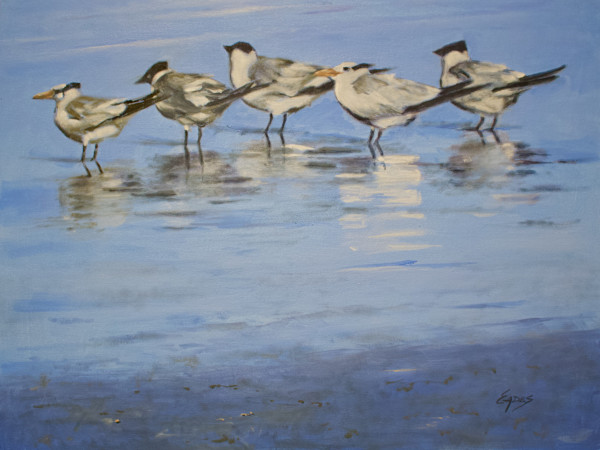 Royal Terns by Linda Eades Blackburn