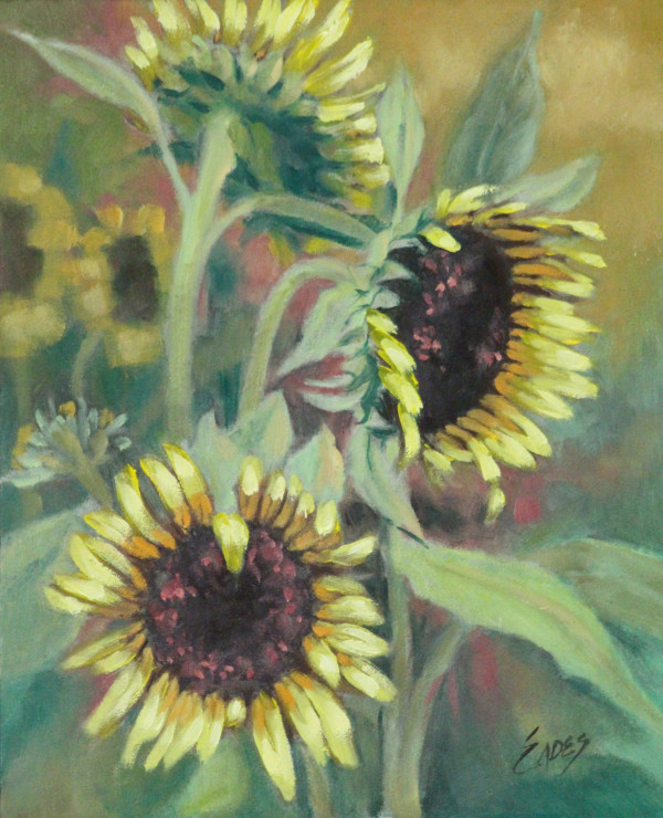 Sun Flower Field by Linda Eades Blackburn