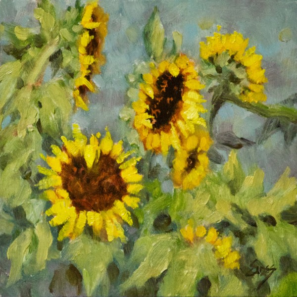 Sunflower Sighting by Linda Eades Blackburn