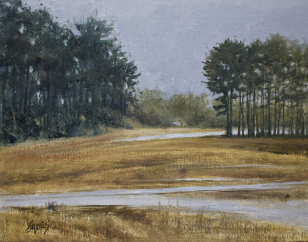 Winter Drizzle by Linda Eades Blackburn