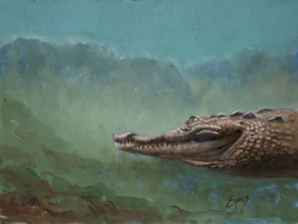 Just a Croc by Linda Eades Blackburn