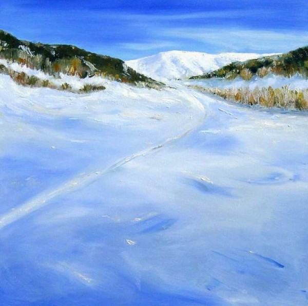 Brilliant Snow by Tim Howe