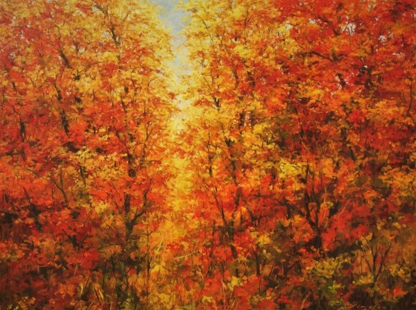 Changing Seasons by Tim Howe