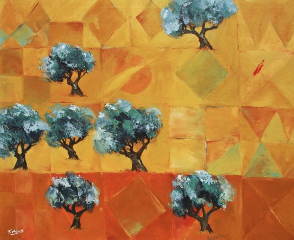 Olive Trees On Geometric Fields by Tim Howe
