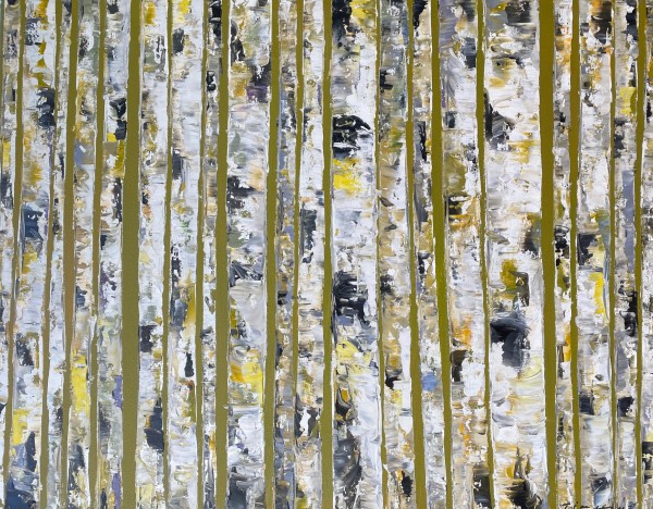 Spring Birches by Tim Howe