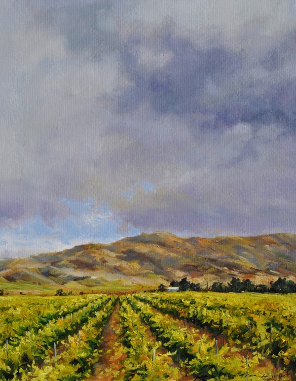 The Vineyards Of Spring by Tim Howe