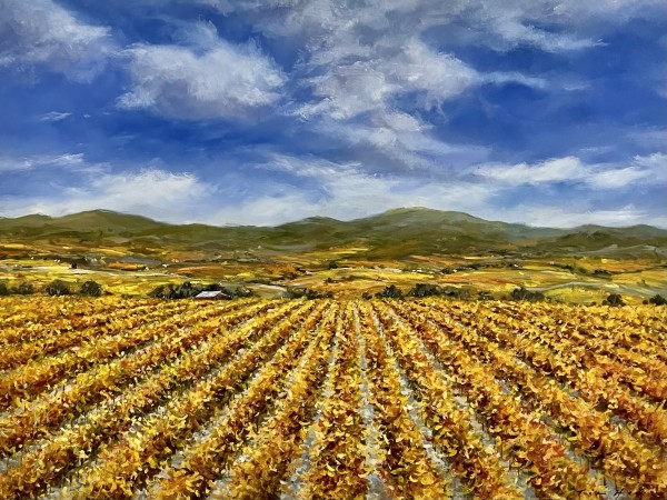 Vineyards Of Autumn by Tim Howe