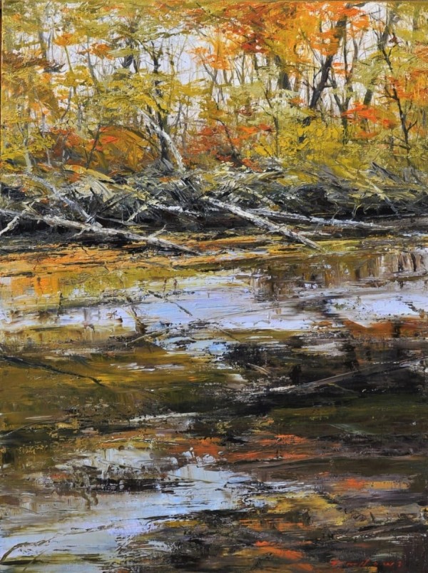 A Wilderness Stream by Tim Howe
