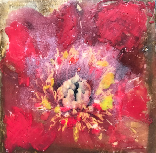 Allowing the Bloom by Jolene Hagin, Image 1.