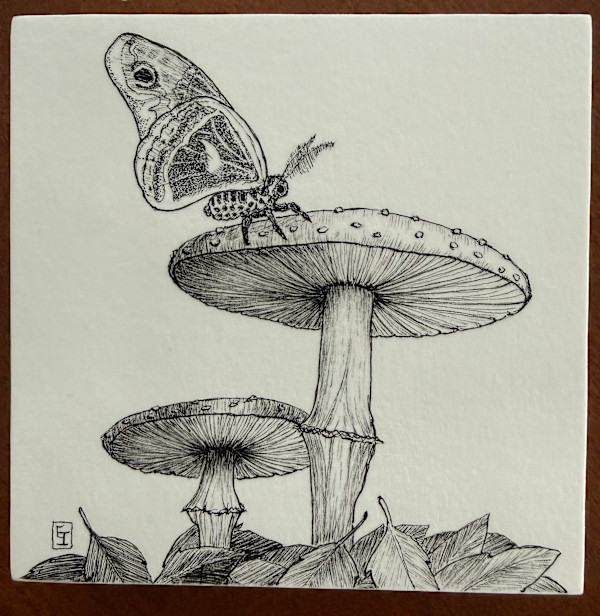Quiet Wonders - Brief Landing by Elise Iglio, Image 1.