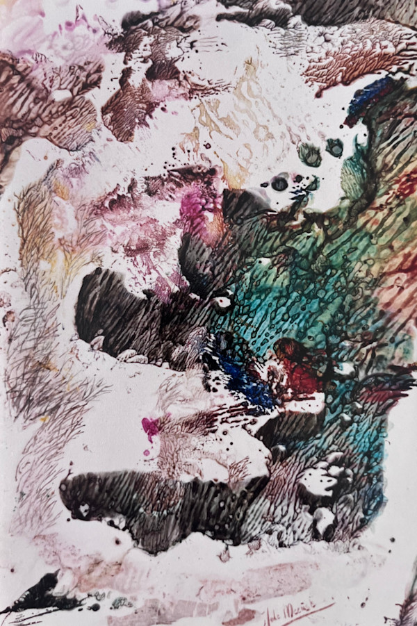 Cape fear by Joke Meeüse - DIMORF, Image 1.