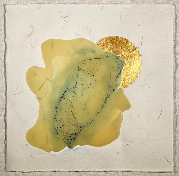 Painted Lady by Jennifer Pepper, Image 1.