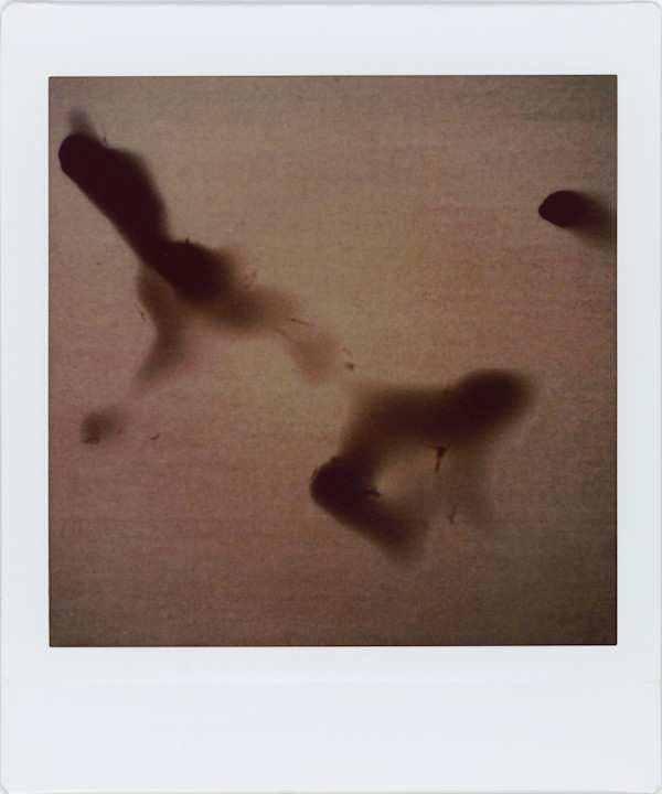 FRAGMENTO EFÍMERO 07 by ZAIRA GONZÁLEZ BEAS, Image 1.