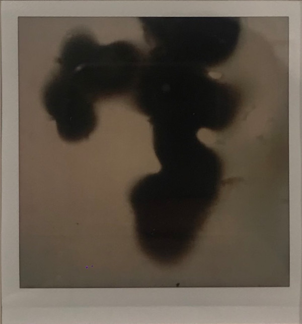 FRAGMENTO EFÍMERO 20 by ZAIRA GONZÁLEZ BEAS, Image 1.