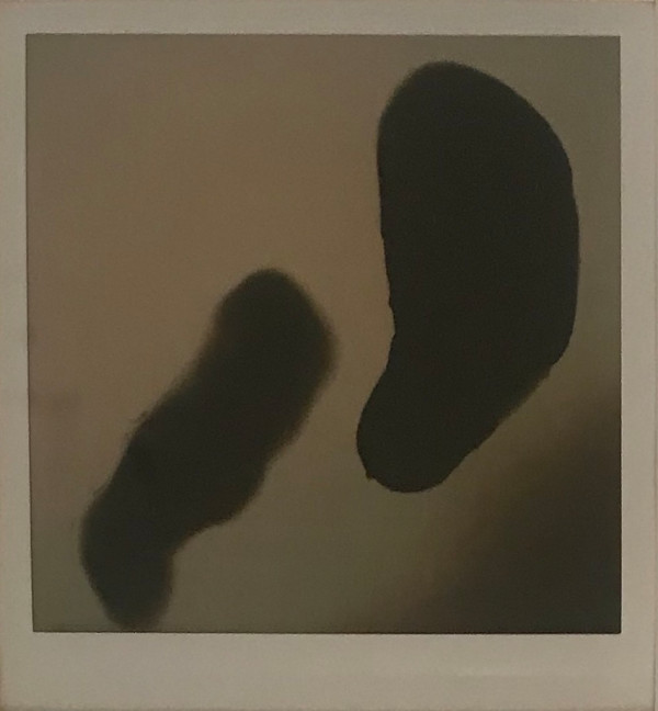 FRAGMENTO EFÍMERO 22 by ZAIRA GONZÁLEZ BEAS, Image 1.