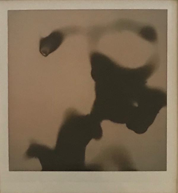 FRAGMENTO EFÍMERO 16 by ZAIRA GONZÁLEZ BEAS, Image 1.