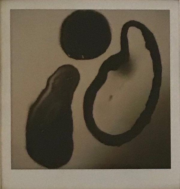 FRAGMENTO EFÍMERO 26 by ZAIRA GONZÁLEZ BEAS, Image 1.