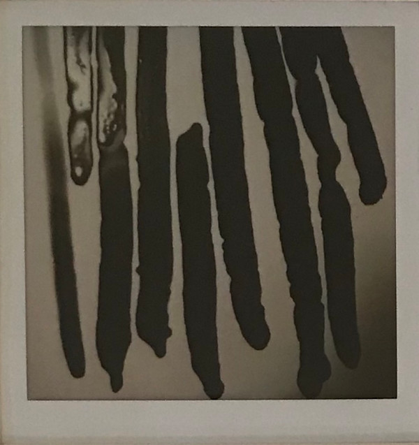 FRAGMENTO EFÍMERO 28 by ZAIRA GONZÁLEZ BEAS, Image 1.
