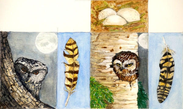 Owl Love Thornton by Kimberley Kelley
