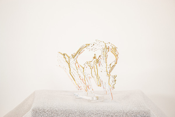 Gold by Marco Caridad, Image 1.