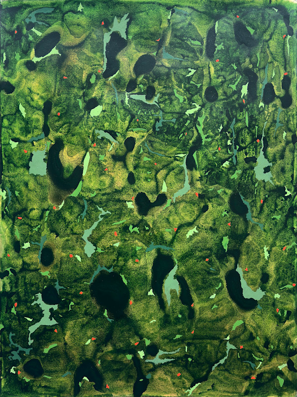 Terra Firma by Richard Bruce