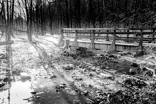 A Path To The Light by Elizabeth White, Image 1.