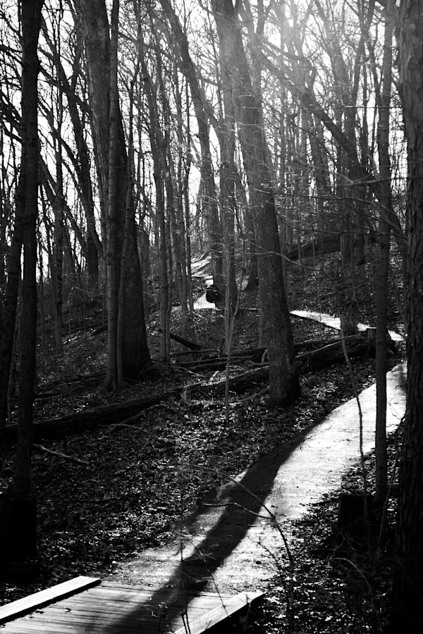 The Wandering Path by Elizabeth White, Image 1.