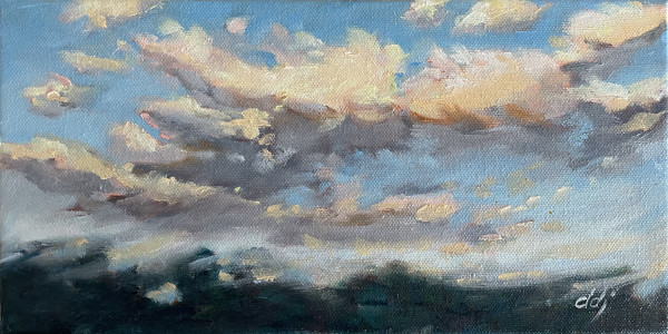 Cloud Cover by Daryl D. Johnson