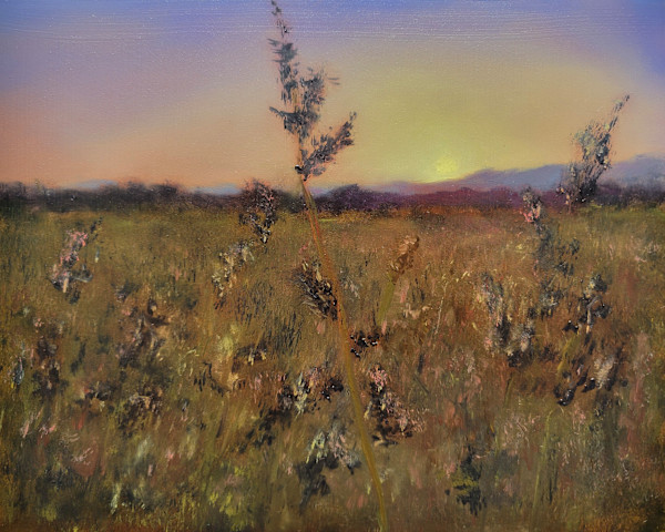 Field of Dreams by Michelle Champagne, Image 1.