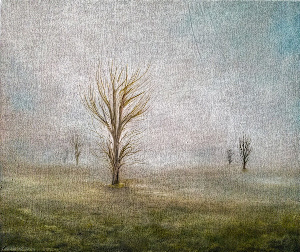 Misty Field by Mattis Richter, Image 1.