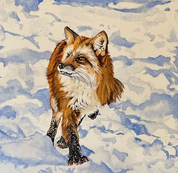 Fox in Snow by Jennifer Alexander Watercolors, Image 1.