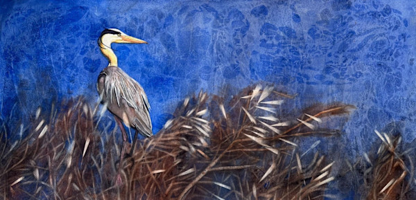 Wild Blue Yonder by Jennifer Alexander Watercolors, Image 1.