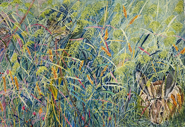 Rabbit by Jennifer Alexander Watercolors, Image 1.