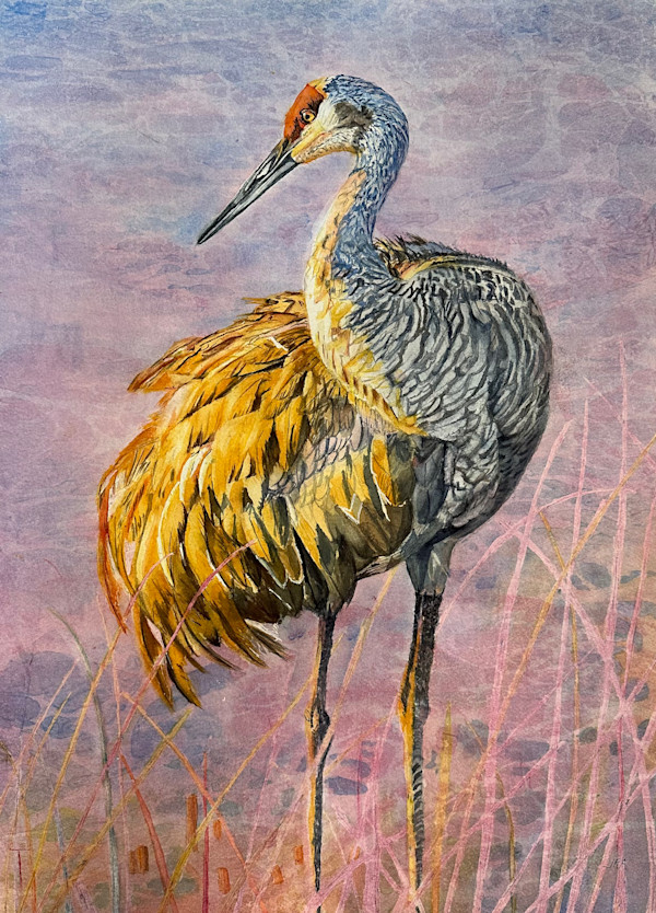 Sandhill in the Sun by Jennifer Alexander Watercolors, Image 1.