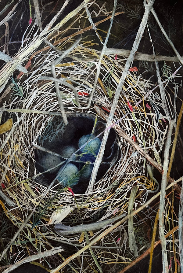 Nest at Night by Jennifer Alexander Watercolors, Image 1.