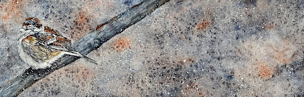 Sparrow in Snow by Jennifer Alexander Watercolors, Image 1.